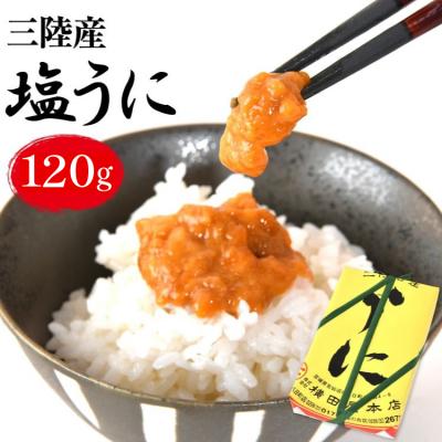 ふるさと納税 気仙沼市 [100年以上のロングセラー] うに 三陸産 塩うに 約120g [横田屋本店 20565816]