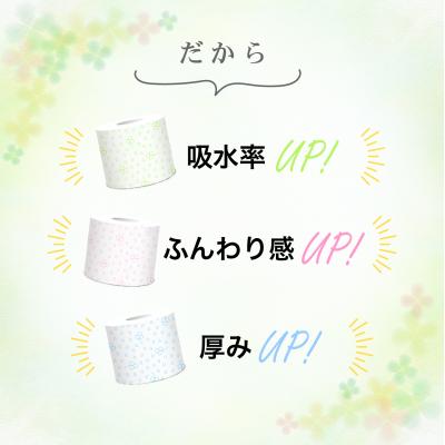 ふるさと納税 富士市 超吸収 トイレットペーパー ダブル 96ロールふんわり柔らか無香料 シルキークローバーグリーン |  | 02