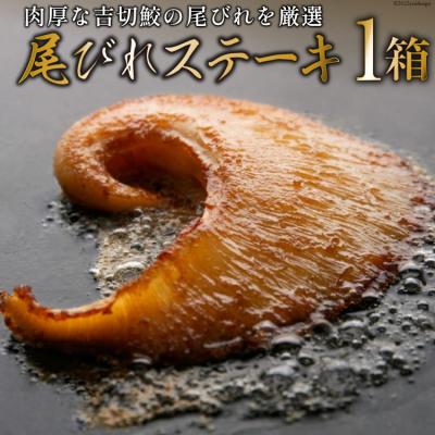 ふるさと納税 気仙沼市 [TVで紹介]ふかひれステーキ1箱 石渡商店 20563354