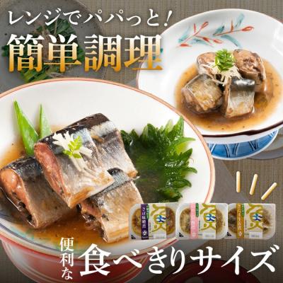 ふるさと納税 気仙沼市 三陸漁師美味一品 詰め合わせ 3種×12P 計36P[阿部長商店 宮城県気仙沼市 20563441] |  | 02