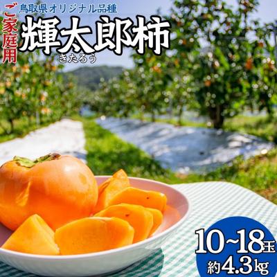 ふるさと納税 湯梨浜町 輝太郎柿10〜18玉〔ご家庭用〕(22M.)