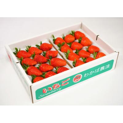 ふるさと納税 湯梨浜町 小林農園 味自慢!いちご大満足セット(34K.)