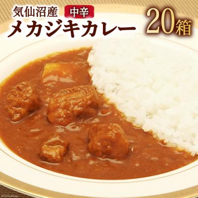 ふるさと納税 気仙沼市 気仙沼産 メカジキカレー 180g×20箱 20565223
