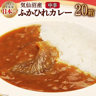 ふるさと納税 気仙沼市 気仙沼産 ふかひれカレー 180g×20箱 20565224
