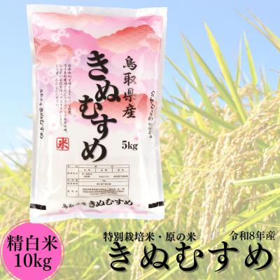 ふるさと納税 湯梨浜町 特別栽培米『原の米・きぬむすめ』◇精白米10kg◇令和8年産(49M.)