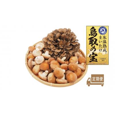 ふるさと納税 湯梨浜町 氷温熟成舞茸『鳥取の宝』とどっさりしいたけの満ぷくセット〔定期便〕(125K.)