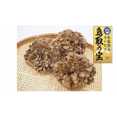 ふるさと納税 湯梨浜町 氷温熟成舞茸『鳥取の宝』大満足セット(104M.)