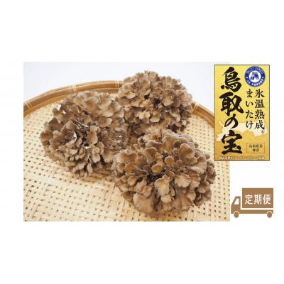 ふるさと納税 湯梨浜町 氷温熟成舞茸『鳥取の宝』大満足セット〔定期便〕(121K.)