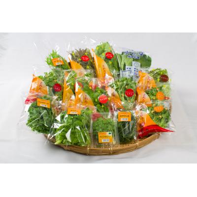 ふるさと納税 湯梨浜町 採れたて野菜詰合せセット(108M.)