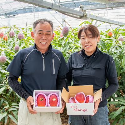 ふるさと納税 西都市 糖度14度以上2玉計900g　長友農園完熟マンゴー(3L×2)宮崎県西都産【先行受付】[2886]_3