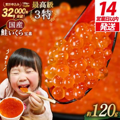 ふるさと納税 気仙沼市 [14日以内に発送]最高級3特 国産 味付 いくら 宝壽 醤油漬 120g×1 20565080