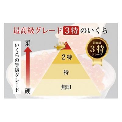 ふるさと納税 気仙沼市 【TVで紹介!】最高級3特 国産 味付 いくら 宝壽 醤油漬 120g×1 20565080の画像