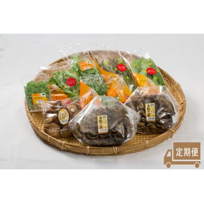 ふるさと納税 湯梨浜町 氷温熟成舞茸『鳥取の宝』としいたけ・採れたて野菜セット〔定期便〕(123K.)