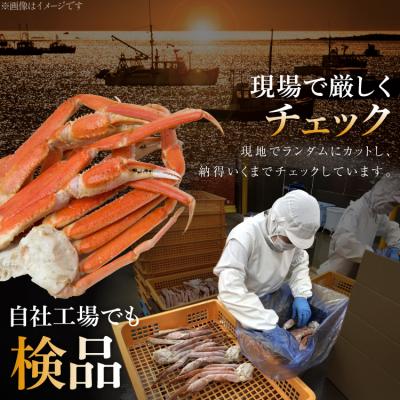 ふるさと納税 気仙沼市 かに 訳あり ボイル ずわいがに 肩付き脚 総重量1kg [20564325] |  | 03