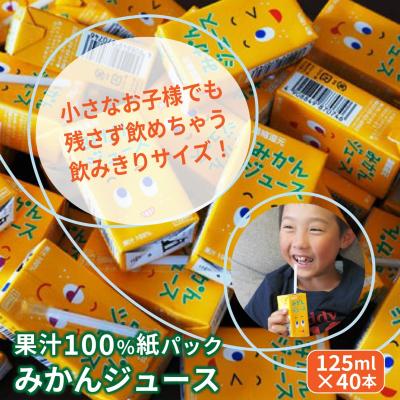 ふるさと納税 国東市 果汁100%紙パックみかんジュース125ml×40本_1521R |  | 01