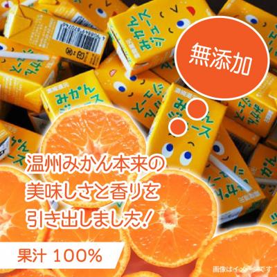 ふるさと納税 国東市 果汁100%紙パックみかんジュース125ml×40本_1521R |  | 02
