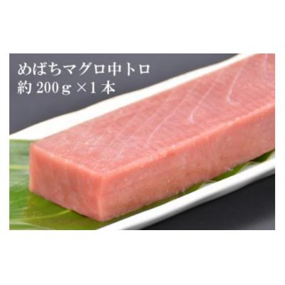 ふるさと納税 気仙沼市 北かつのマグロ 中トロセット / 北かつ商事 / 宮城県 気仙沼市 20563599