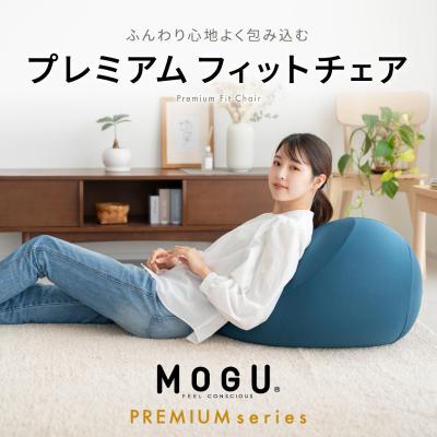 ふるさと納税 加西市 [MOGU-モグ‐]プレミアム フィットチェア シルバーグレー[No5698-7726]