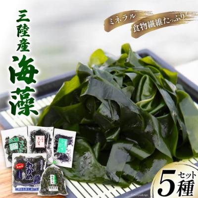 ふるさと納税 気仙沼市 三陸産 海藻 5種セット ( わかめ 茎わかめ ひじき ふのり 昆布 ) 