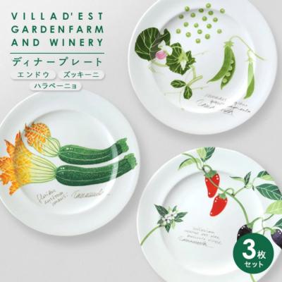 ふるさと納税 東御市 [ヴィラデストワイナリー]ベジタブルシリーズ食器 ディナープレート3枚セット