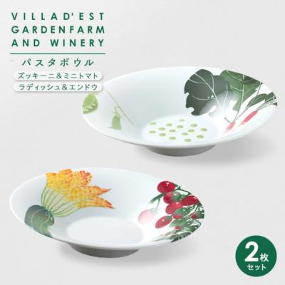 ふるさと納税 東御市 [ヴィラデストワイナリー]ベジタブルシリーズ食器 パスタボウル2枚セット
