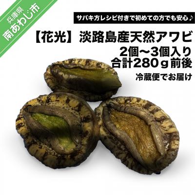 ふるさと納税 南あわじ市 【花光】淡路島産天然活きアワビ | 