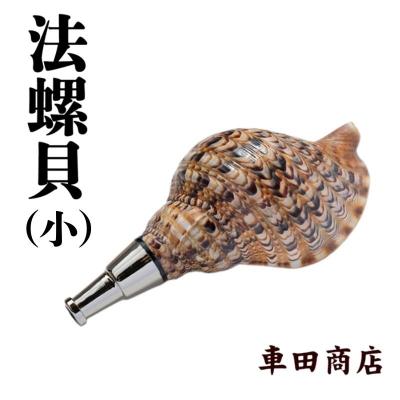 ふるさと納税 吉野町 法螺貝(小)[車田商店]