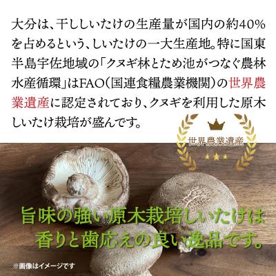 ふるさと納税 国東市 香ばしさ満点!原木椎茸の姿煎餅10袋_0130N_2