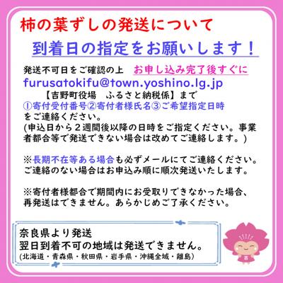 ふるさと納税 吉野町 柿の葉ずし(24個入り)鯖・鮭各12個_2