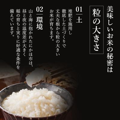 ふるさと納税 にかほ市 定期便3回 秋田県産 ひとめぼれ 10kg 計30kg 令和7年産[No.5685-2060]_2