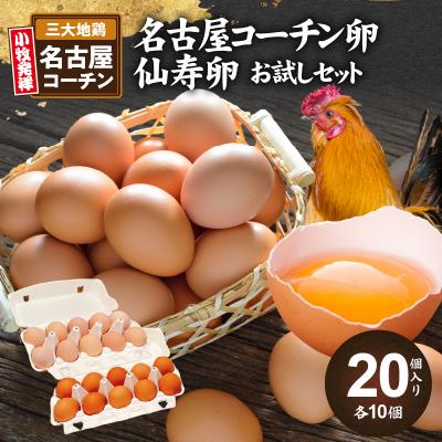 ふるさと納税 小牧市 名古屋コーチン卵・仙寿卵お試しセット(各10個入り)[006K02]