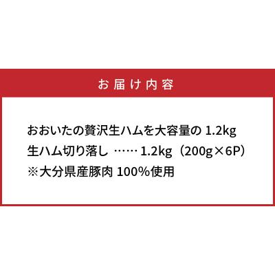 ふるさと納税 国東市 おおいたの贅沢生ハムを大容量の1.2kg_0245N |  | 03