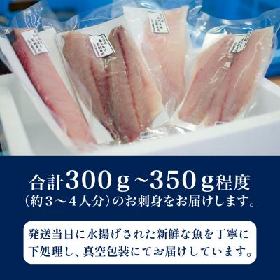 ふるさと納税 南さつま市 ★漁師厳選★ お刺身 詰め合わせ(4種) 朝獲れ 直送 冷蔵 刺身 さしみ |  | 01