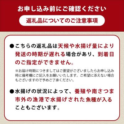 ふるさと納税 南さつま市 ★漁師厳選★ お刺身 詰め合わせ(4種) 朝獲れ 直送 冷蔵 刺身 さしみ |  | 02