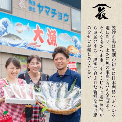 ふるさと納税 南さつま市 ★漁師厳選★ お刺身 詰め合わせ(4種) 朝獲れ 直送 冷蔵 刺身 さしみ |  | 03