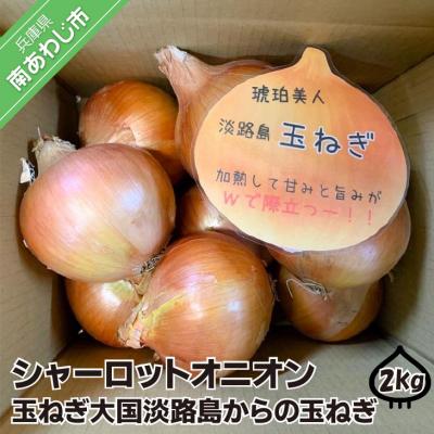 ふるさと納税 南あわじ市 淡路島極熟玉葱2kg シャーロットオニオン 玉ねぎ大国淡路島からの玉ねぎ