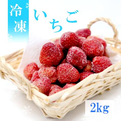 ふるさと納税 小郡市 いちご 白木のいちご 旬のおいしさそのまま 冷凍いちご(品種混合) 2kg[No5354-0590]