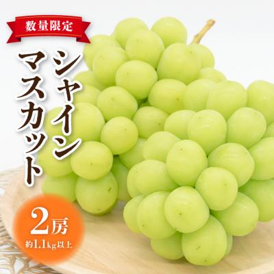 ふるさと納税 東御市 [先行受付2026年発送]東御市産シャインマスカット2房[秋お届け]