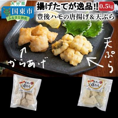 ふるさと納税 国東市 揚げたてが美味!豊後ハモの唐揚げ&amp;天ぷら/0.5kg_0275N