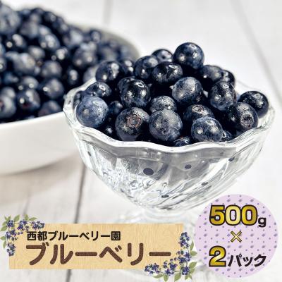 ふるさと納税 西都市 朝どれ!!新鮮生ブルーベリー250g×4 計1kg西都ブルーベリー農園[先行受付][1889]