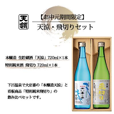 ふるさと納税 下呂市 [期間限定 お中元](2026年6月初旬から順次発送)天涼・飛切りセット[2-63]