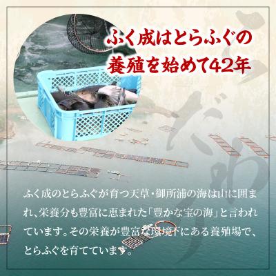 ふるさと納税 天草市 とらふぐ刺身セット/2〜3人前【firesh(R)】_S106-012A |  | 02