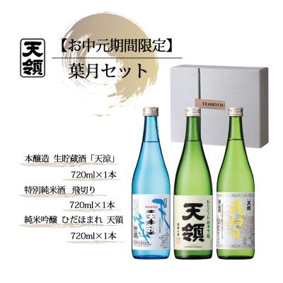 ふるさと納税 下呂市 [期間限定 お中元](2026年6月初旬から順次発送)葉月セット[2-64]