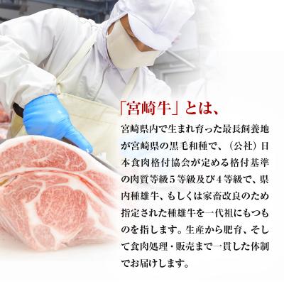 ふるさと納税 西都市 宮崎牛【1kg】焼肉セットA4〜A5等級ミヤチク内閣総理大臣賞連続[3014] |  | 01