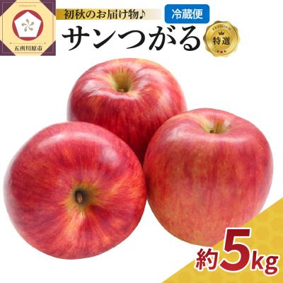ふるさと納税 五所川原市 [9月発送][特選] りんご 5kg サンつがる 青森 [2026年 リンゴ 林檎 果物 フルーツ]