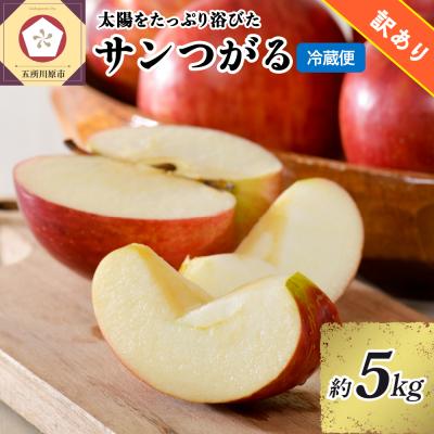 ふるさと納税 五所川原市 [9月発送] 訳あり りんご 5kg サンつがる 青森県産[2026年 リンゴ 林檎 果物]