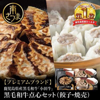 ふるさと納税 南さつま市 [プレミアムブランド]鹿児島県産黒毛和牛「小田牛」 牛肉100%点心セット(餃子・焼売)