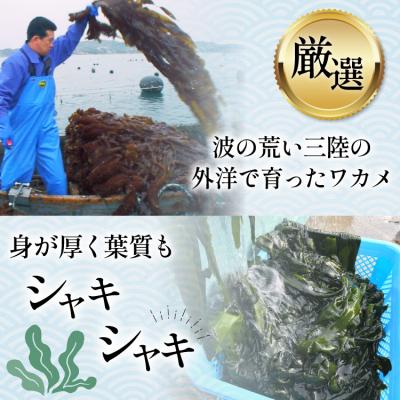 ふるさと納税 気仙沼市 わかめの王様 三陸産 金のわかめ 200g [ムラカミ 20563538] わかめ 若芽 海藻 |  | 01