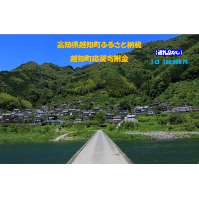 ふるさと納税 越知町 越知町応援寄付金(返礼品無し)100000円