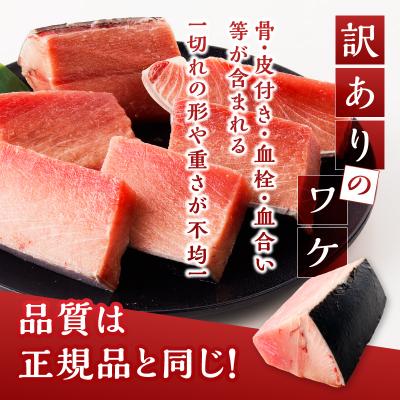 ふるさと納税 焼津市 マグロ 中トロ 訳あり 刺身 ミナミマグロ 中トロ 切り落とし 約700g(a15-719) |  | 02